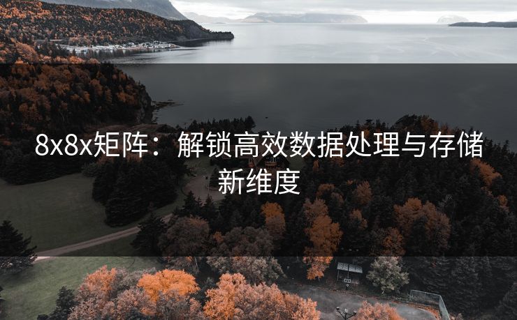 8x8x矩阵：解锁高效数据处理与存储新维度