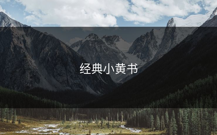 经典小黄书