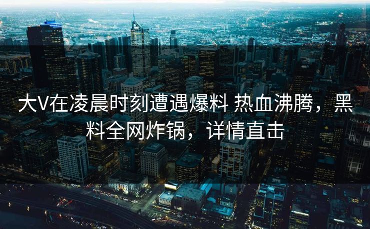大V在凌晨时刻遭遇爆料 热血沸腾，黑料全网炸锅，详情直击