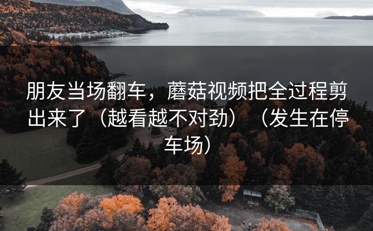 朋友当场翻车，蘑菇视频把全过程剪出来了（越看越不对劲）（发生在停车场）