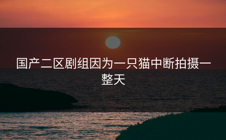 国产二区剧组因为一只猫中断拍摄一整天